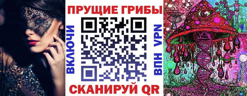 Псилоцибиновые грибы Cubensis  купить   Клинцы 